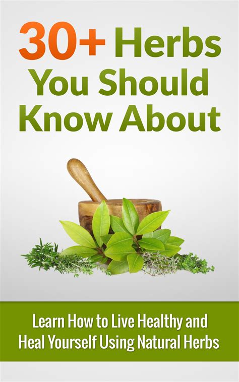 Herbs 30 Herbs You Should Know About Learn How To Live Healthy And