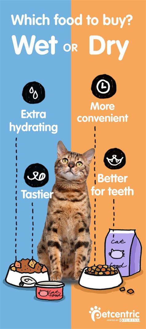 However, the most common cat foods are high in carbohydrates and plant proteins, and undergo avoid serving your cat dry food. Wet vs. Dry: What's the Best Food for My Cat? | Cat ...