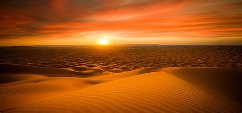 Golden Desert Background Desert Background Sunset Nature Desert Travel