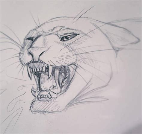 Pencil Sketch 01 Panther By Creativetouchart On Deviantart