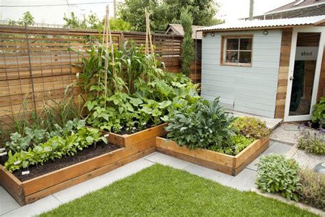 Select your veggies decide what produce to include based on your climate, space, tastes and level of expertise. Small-Space Vegetable Gardens