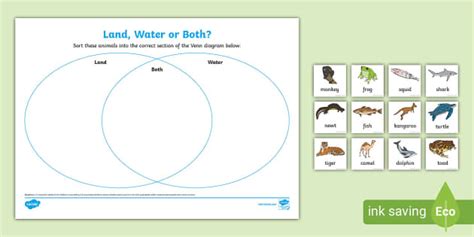 Land Water Or Both Animals Sorting Activity Teacher Made