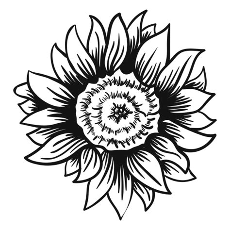 Free Svg Sunflower Clipart Black And White Svg 2911 File Include Svg