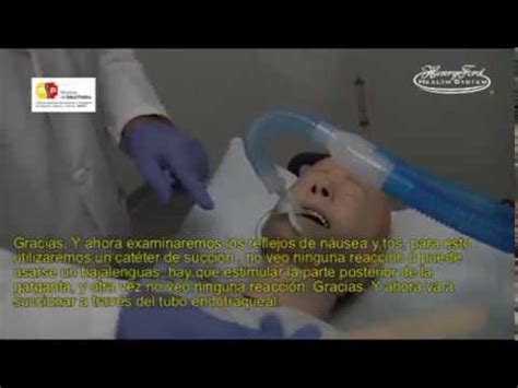 Un derrame cerebral ocurre cuando el flujo sanguíneo hacia una parte del cerebro es interrumpido como resultado de la rotura o bloqueo de un vaso sanguíneo. Muerte Cerebral - YouTube