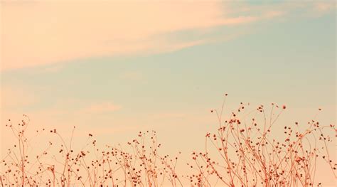 Aesthetic Laptop Vintage Wallpapers - Wallpaper Cave