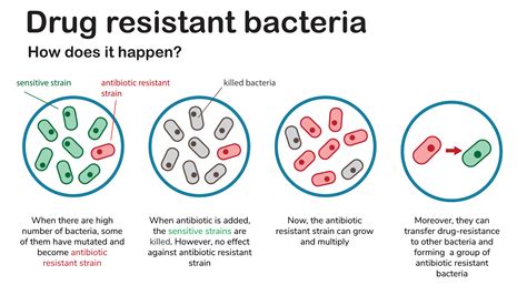 Antibiotic Resistance Spartha Medical