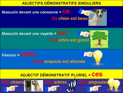 Demonstrative Adjectives-French