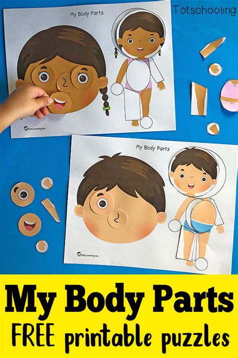 My Body Parts Printable Puzzles Totschooling Toddler Preschool