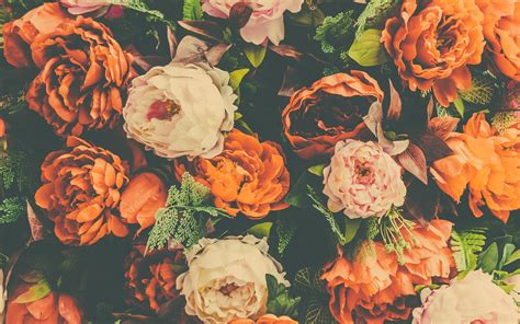 We offer an extraordinary number of hd images that will instantly freshen up your smartphone or computer. Download wallpapers orange peonies, retro floral ...