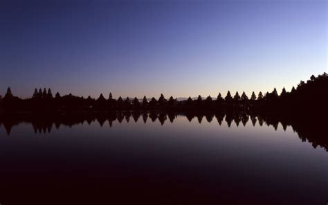 Wallpaper Sunlight Trees Landscape Sunset Lake Water Nature