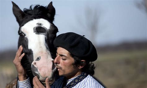 Touch Forms The Foundation Of The Powerful Human Horse Relationship