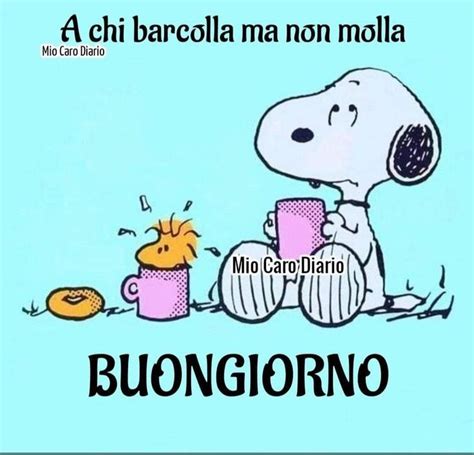 Pin Di Elisabetta Lusardi Su Citazioni Snoopy Buongiorno Immagini