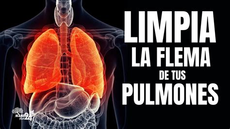 Remedios Caseros Para Limpiar Los Pulmones De Flema Bronquios Y M S