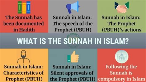 Importance And Significance Of The Sunnah In Islam Quran For Kids