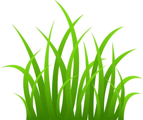 Blades Of Grass Png Clip Art Library