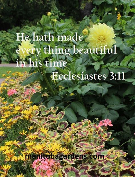 In our life there is a single colour, as on an artist's palette, which provides the meaning of life and art. MANITOBA GARDENS: Scripture Picture Sunday # 3 | Scripture ...