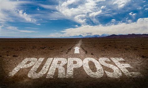 What Is Your Life Purpose, Mission and Passion? - Page Design Hub