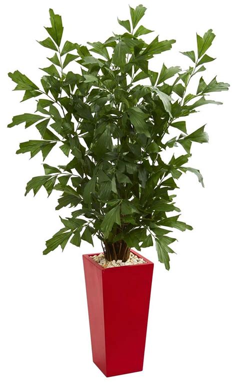 Nearly Natural 45 Fishtail Artificial Palm Tree In Red Planter