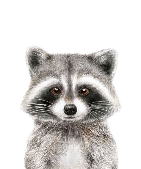 Baby Raccoon Print For Woodland Nursery Decor Neutral Nursery Wall Art