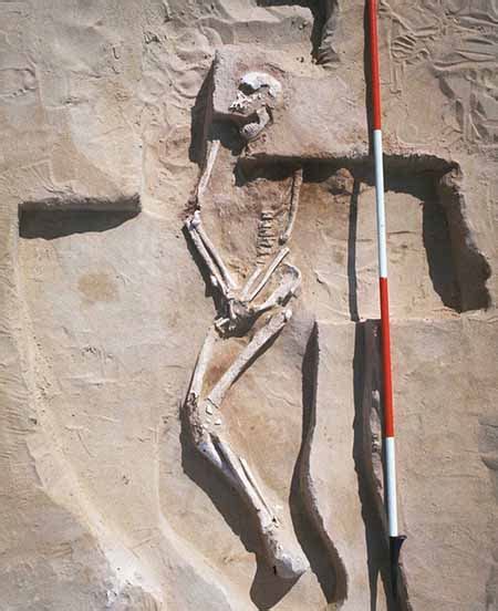 El Hombre De Mungo Los Restos Humanos Más Antiguos De Australia
