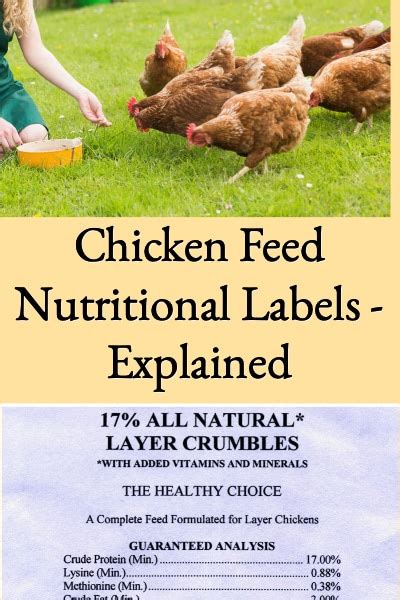 Chicken Feed Nutritional Labels Explained Better Hens And Gardens