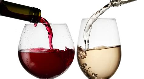 Frank ha una variegata collezione di bicchieri da vino rossi. I due consorzi di vino marchigiani insieme nella ...