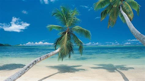 Tropical Beach Paradise Wallpapers Wallpaper Cave