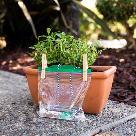 Self Watering Planters String G4rden Plant