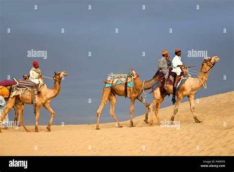 Men Riding Camels Jaisalmer Desert Rajasthan India Stock Photo Alamy
