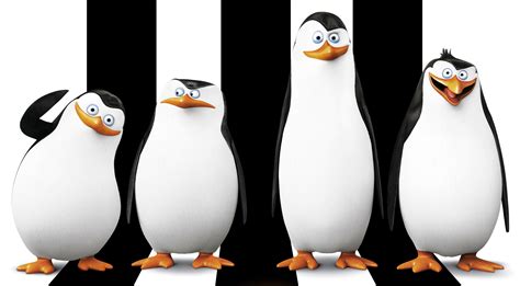 Penguins are some of the most recognizable and beloved birds in the world and even have their own holiday: Penguins of Madagascar penguins antarctic documentary ...