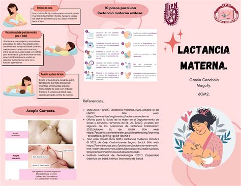 lactancia materna triptíco traducciones de enfermería clínica docsity