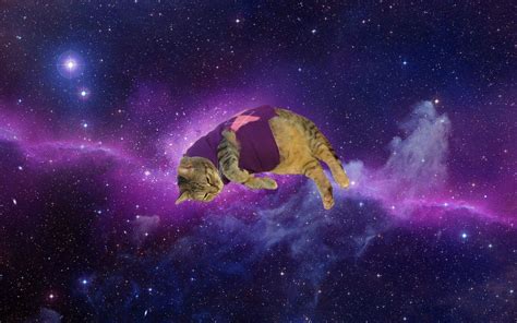 Astronaut Cat Galaxy Wallpapers Top Free Astronaut Cat Galaxy