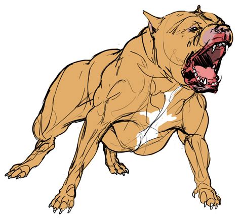 Mean Dog Drawing At Getdrawings Free Download