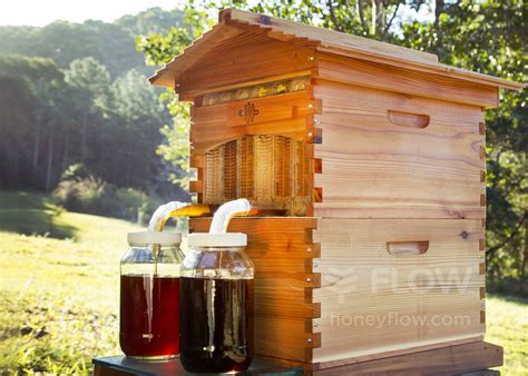 Honey On Tap From Your Own Beehive Flow Hive Home Bee Keeping