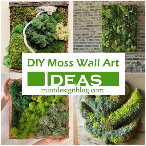 23 Diy Moss Wall Art How To Make A Moss Wall Mint Design Blog