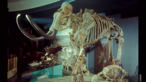The Extinct Ice Age Mammals Of North America Youtube