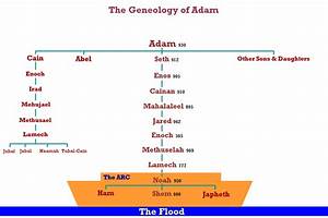 Adam To Moses