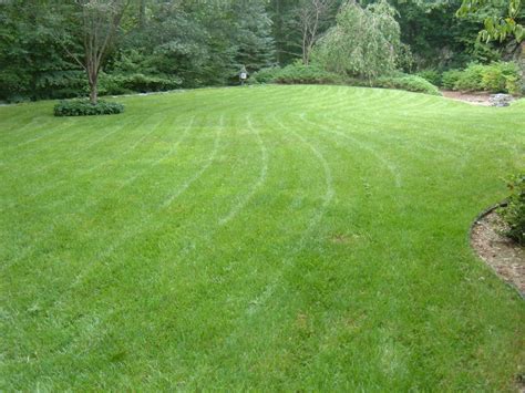 It's not a difficult job if you follow some easy hints. How To Lay Down Sod: Tips For Laying Sod - HubPages