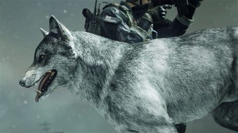 Turn Call Of Duty Ghosts Dog Killstreak Into A Wolf Dec 12 Polygon