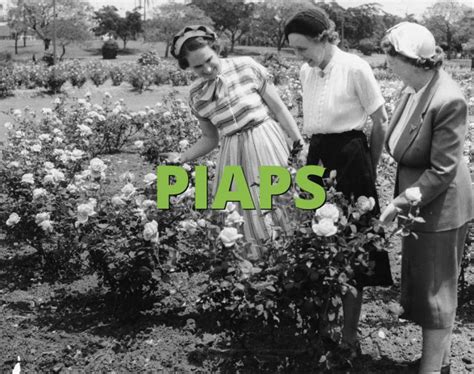 Piaps What Does Piaps Mean