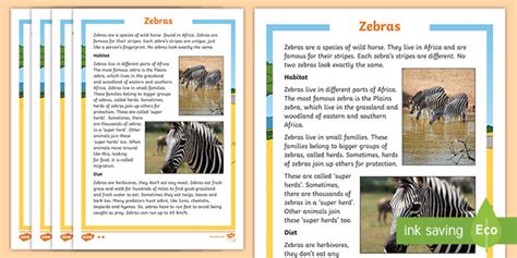 Zebra Fact Files Teacher Made Twinkl
