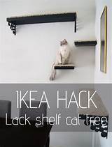 Images of Floating Shelves For Cats