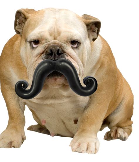 Dog Mustache Play Toy Funny Dog Toys Mustache Dog Durable Dog Toys