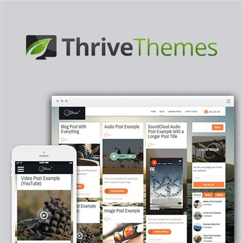 Thrive Themes Storied Wordpress Theme Plugintheme