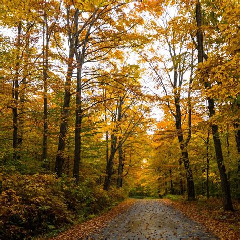 Stowe Mountain Auto Toll Road All You Need To Know Before You Go