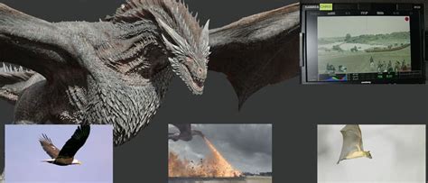 Search, discover and share your favorite game of thrones dragon gifs. Game of Thrones: dragon breakdown - fxguide