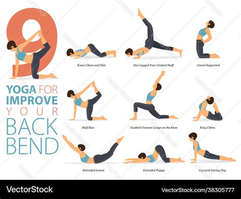 9 Yoga Poses For Improve Back Bend Concept Vector Image