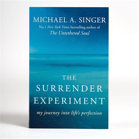 The Surrender Experiment My Journey Into Lifes Perfection Wake The