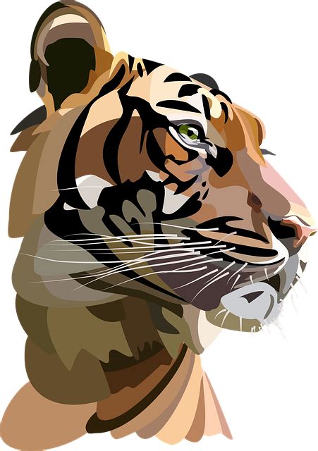 Tigre Icona Gatto Selvatico Grafica Vettoriale Gratuita Su Pixabay