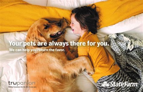 State Farm Pet Insurance Is It Necessary For Your Pet